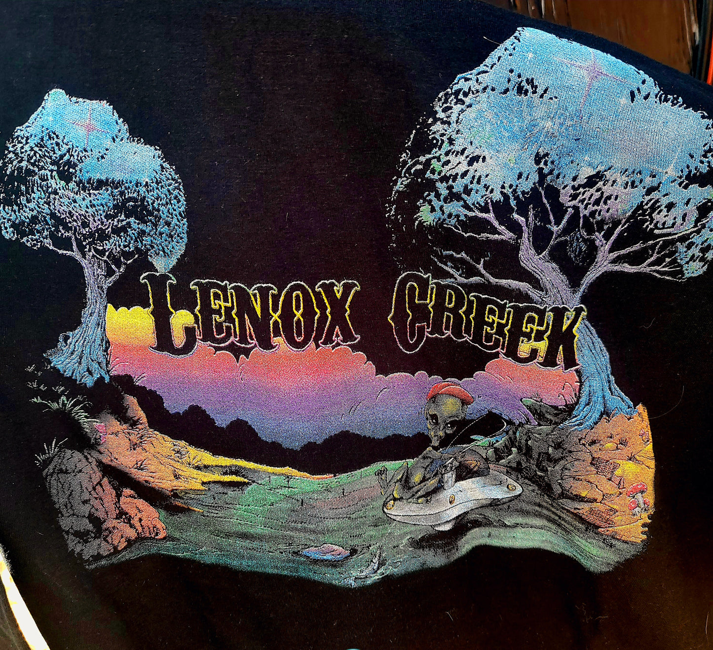 N.E.D Lenox Creek shirt